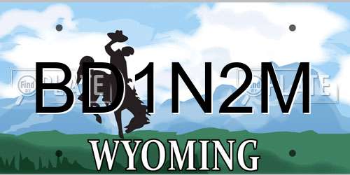 BD1N2M Wyoming License Plate