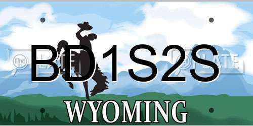 BD1S2S Wyoming License Plate