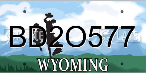 BD2O577 Wyoming License Plate