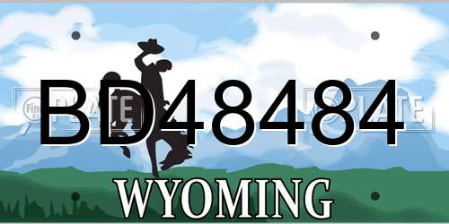 BD48484 Wyoming License Plate