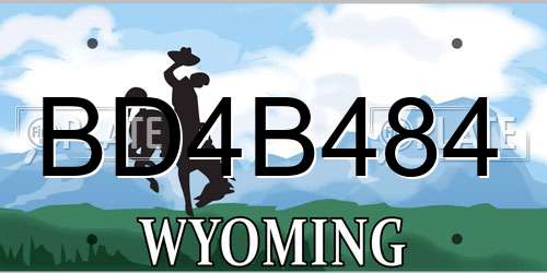 BD4B484 Wyoming License Plate