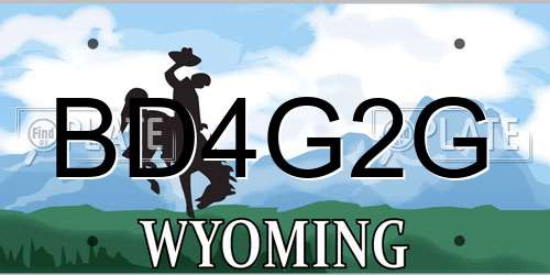 BD4G2G Wyoming License Plate