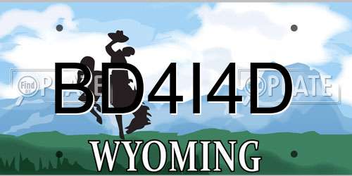 BD4I4D Wyoming License Plate