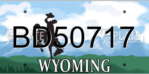 BD50717 Wyoming License Plate