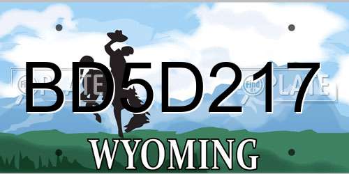 BD5D217 Wyoming License Plate