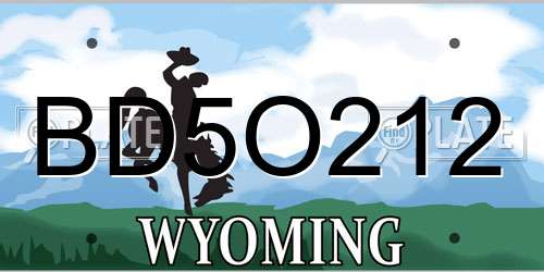BD5O212 Wyoming License Plate