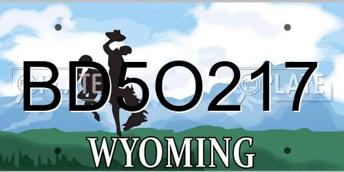 BD5O217 Wyoming License Plate