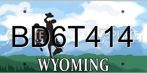 BD6T414 Wyoming License Plate