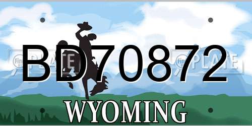 BD70872 Wyoming License Plate