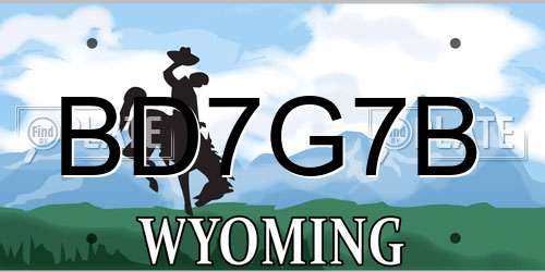BD7G7B Wyoming License Plate