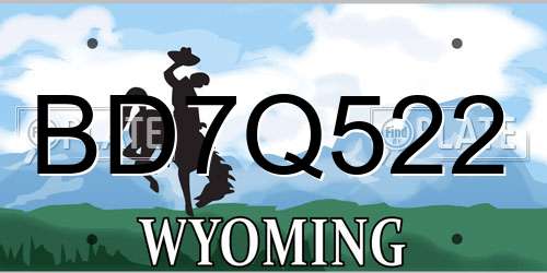 BD7Q522 Wyoming License Plate