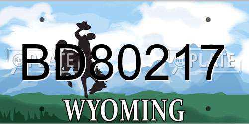 BD80217 Wyoming License Plate