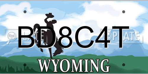 BD8C4T Wyoming License Plate