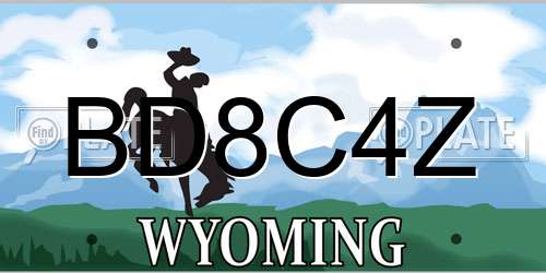 BD8C4Z Wyoming License Plate