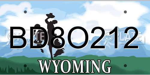 BD8O212 Wyoming License Plate