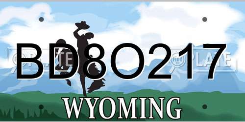 BD8O217 Wyoming License Plate