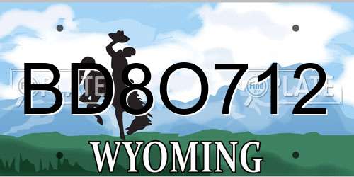 BD8O712 Wyoming License Plate