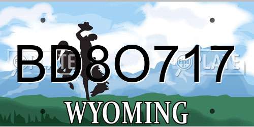 BD8O717 Wyoming License Plate