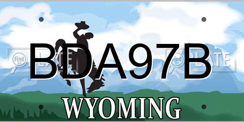 BDA97B Wyoming License Plate