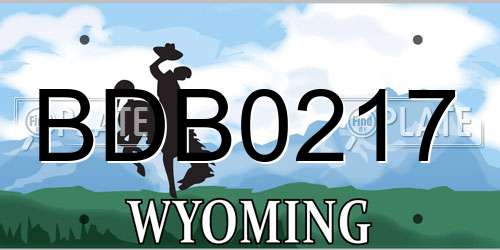 BDB0217 Wyoming License Plate