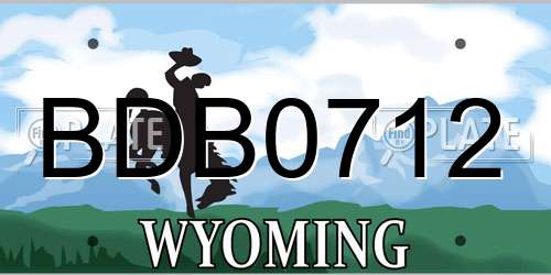 BDB0712 Wyoming License Plate