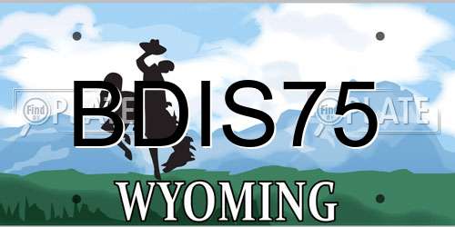 BDIS75 Wyoming License Plate