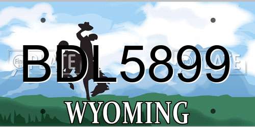 BDL5899 Wyoming License Plate