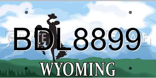 BDL8899 Wyoming License Plate