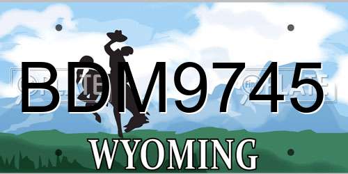 BDM9745 Wyoming License Plate