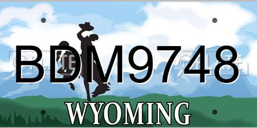 BDM9748 Wyoming License Plate