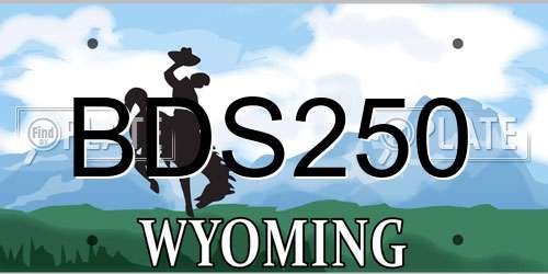 BDS250 Wyoming License Plate