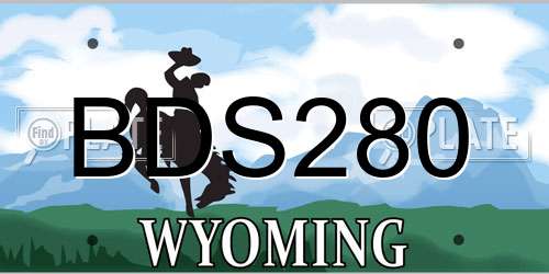 BDS280 Wyoming License Plate