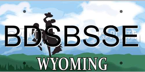 BDSBSSE Wyoming License Plate