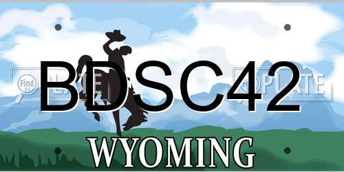 BDSC42 Wyoming License Plate