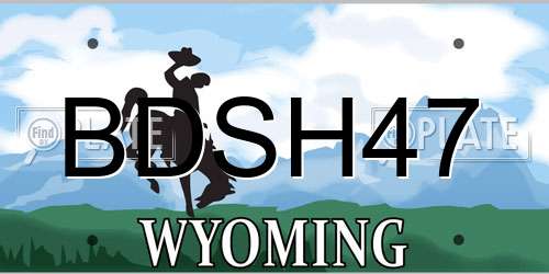 BDSH47 Wyoming License Plate