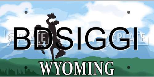 BDSIGGI Wyoming License Plate