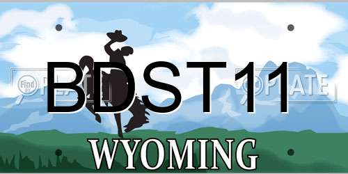 BDST11 Wyoming License Plate