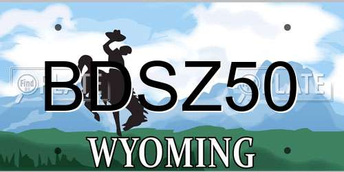 BDSZ50 Wyoming License Plate