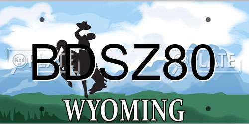 BDSZ80 Wyoming License Plate