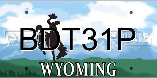 BDT31P Wyoming License Plate