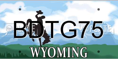 BDTG75 Wyoming License Plate