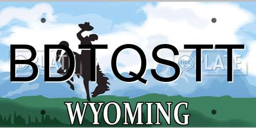 BDTQSTT Wyoming License Plate