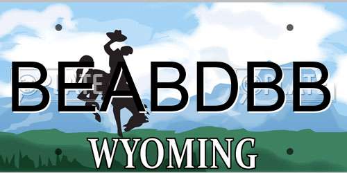 BEABDBB Wyoming License Plate