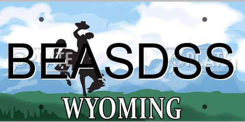 BEASDSS Wyoming License Plate