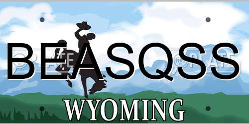 BEASQSS Wyoming License Plate