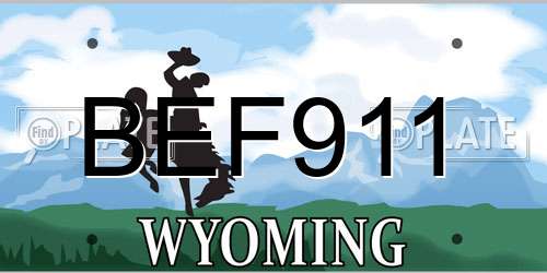 BEF911 Wyoming License Plate
