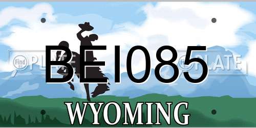 BEI085 Wyoming License Plate