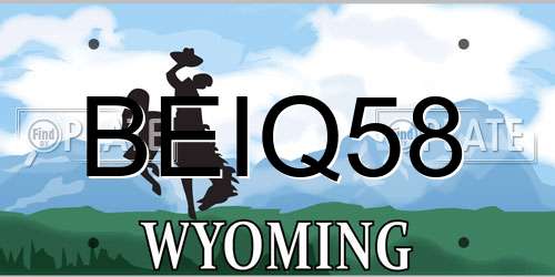 BEIQ58 Wyoming License Plate