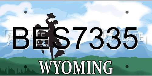 BES7335 Wyoming License Plate