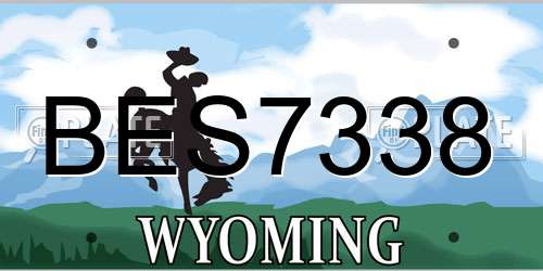 BES7338 Wyoming License Plate